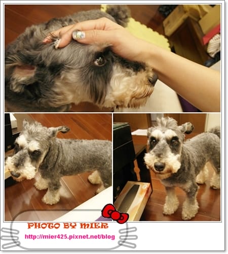 20260106-mf150 20260106-mf150