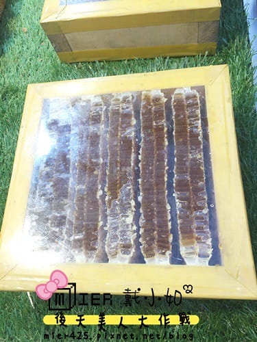 韓國 首爾 明洞 超好逛韓系彩妝 在地小吃美食 去不膩的購物天堂 - 第20張圖 IMG_6754