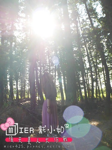 懶人包 台中吃喝玩樂行程攻略 住宿 小吃不能錯過 熱門打卡 熱門景點 台中二天一夜就要這樣玩 - 第16張圖 P1100545