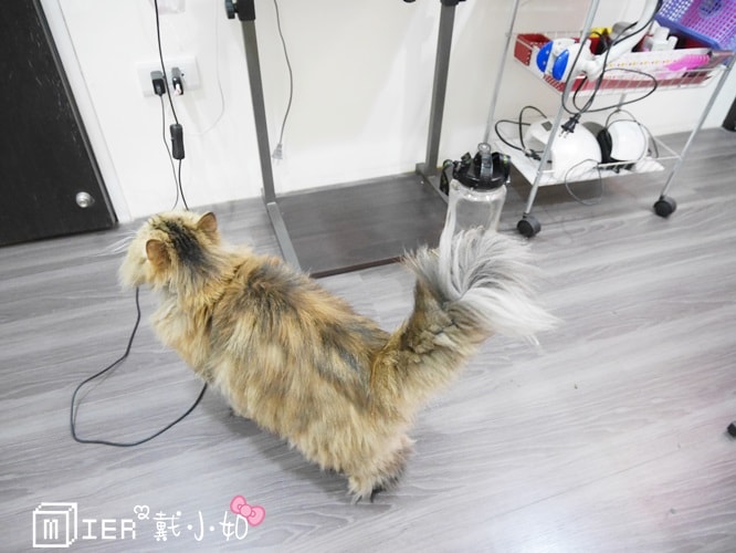 20260106-97lfi 20260106-97lfi