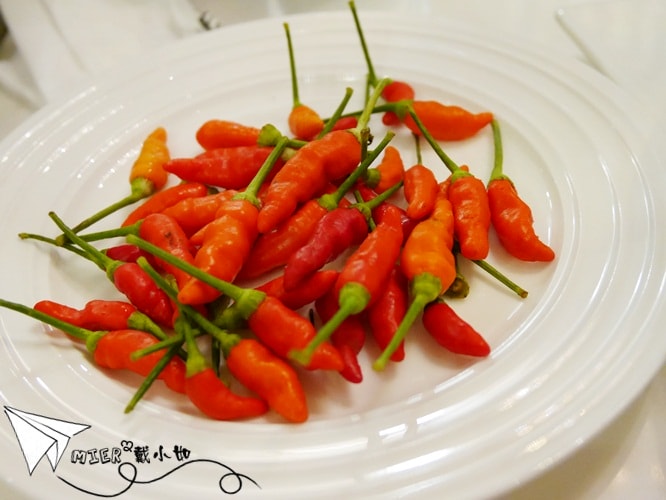 20260107-3yy55 20260107-3yy55