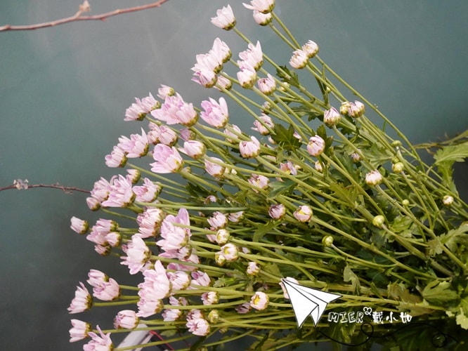 20260107-widfq 20260107-widfq