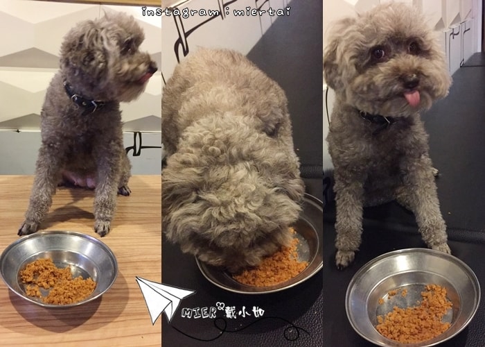 20260107-347go 20260107-347go