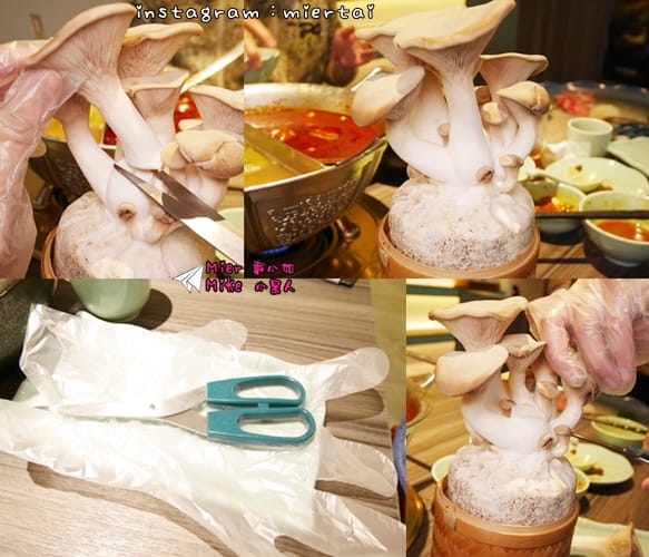 麻辣鍋 台北 中山區 鍋物推薦 青花驕麻辣鍋 王品旗下品牌 麻辣鍋專賣店 青花椒 火鍋 鍋底無限供應 聚餐首選 台北捷運中山站 - 第42張圖 2