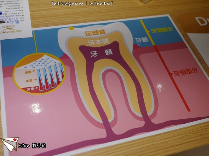 31663908328_cc1113292f_o-cx6mo_