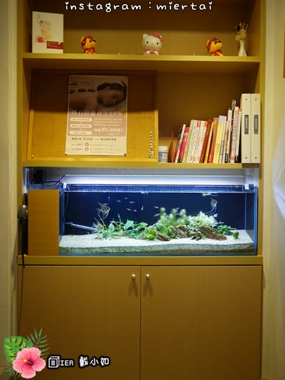 32187934088_c28745db6f_o-57tu7_