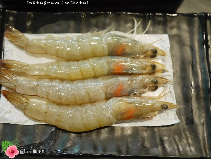 44185408980_c309aa7ba1_o-7dz5g_