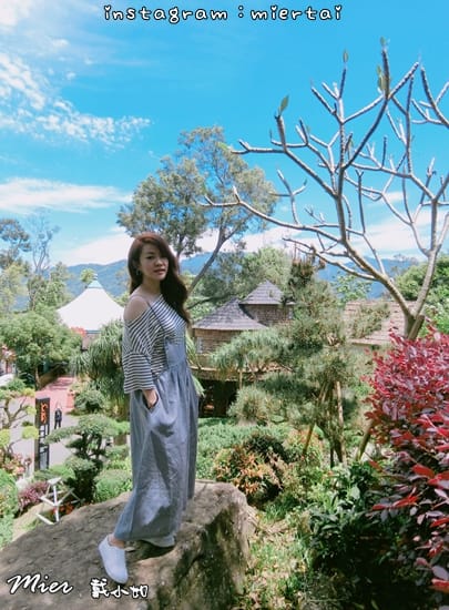 苗栗 南庄 IG熱門打卡景點 Sud Vista蘇維拉莊園 夢幻森林樹屋 童話小鎮蘑菇屋 浪漫絕美山城風光盡收眼底 網美集散地 - 第33張圖 IMG_0460