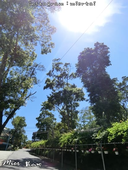 苗栗 南庄 IG熱門打卡景點 Sud Vista蘇維拉莊園 夢幻森林樹屋 童話小鎮蘑菇屋 浪漫絕美山城風光盡收眼底 網美集散地 - 第7張圖 CIMG3126