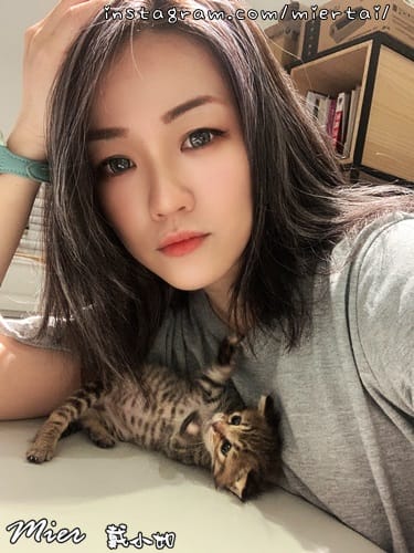 毛小孩|| 貓咪妳好 初次見面 我是新手媽媽戴小如 妳是我可 IMG_3179