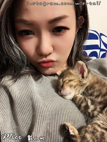 毛小孩|| 貓咪妳好 初次見面 我是新手媽媽戴小如 妳是我可 IMG_3355