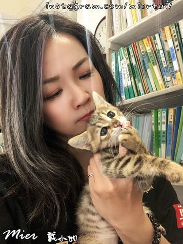 毛小孩|| 貓咪妳好 初次見面 我是新手媽媽戴小如 妳是我可 IMG_4349