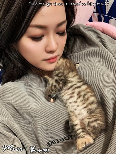 毛小孩|| 貓咪妳好 初次見面 我是新手媽媽戴小如 妳是我可 IMG_3357