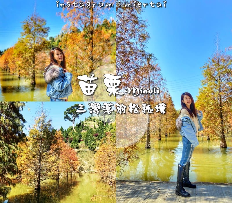 毛小孩|| 貓咪妳好 初次見面 我是新手媽媽戴小如 妳是我可 cats