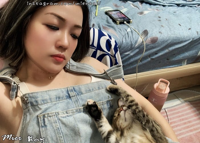 毛小孩|| 關於我的米克斯小奶貓 戴比Taibi 看似天使其 IMG_E6018