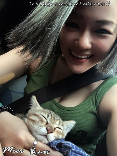 毛小孩|| 關於我的米克斯小奶貓 戴比Taibi 看似天使其 IMG_4903
