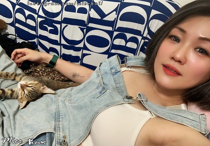 毛小孩|| 關於我的米克斯小奶貓 戴比Taibi 看似天使其 IMG_6023