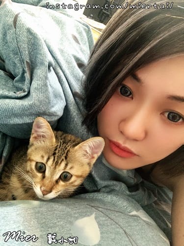 毛小孩|| 關於我的米克斯小奶貓 戴比Taibi 看似天使其 IMG_5865