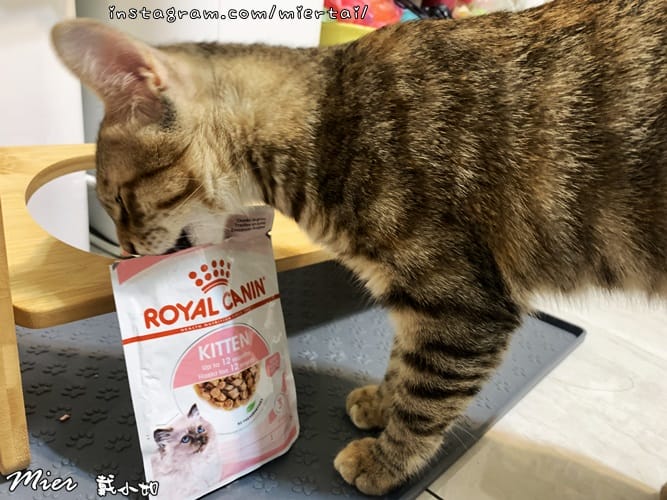 毛小孩 飼料推薦 ROYAL CANIN法國皇家 K36 IMG_9426