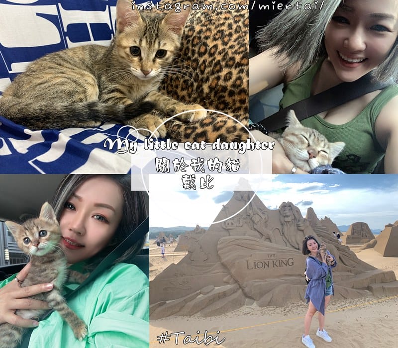 毛小孩 貓飼料推薦開箱 ROYAL CANIN法國皇家 cats1