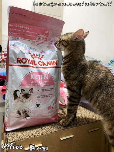毛小孩 飼料推薦 ROYAL CANIN法國皇家 K36 IMG_9399