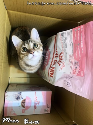 毛小孩 飼料推薦 ROYAL CANIN法國皇家 K36 IMG_8956