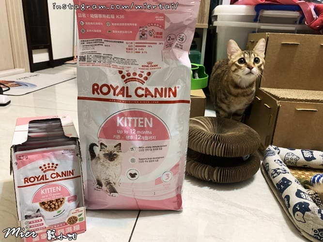 毛小孩 飼料推薦 ROYAL CANIN法國皇家 K36 IMG_9404