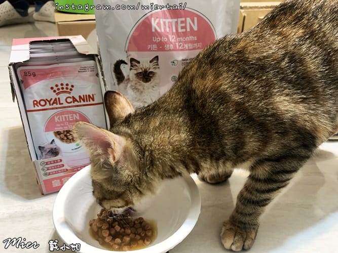 毛小孩 飼料推薦 ROYAL CANIN法國皇家 K36 IMG_9414