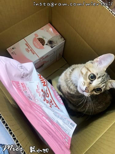 毛小孩 飼料推薦 ROYAL CANIN法國皇家 K36 IMG_8946