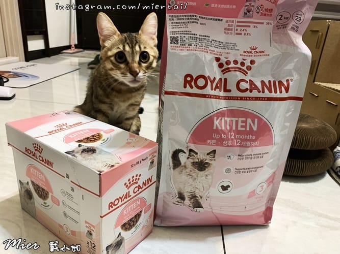 毛小孩 飼料推薦 ROYAL CANIN法國皇家 K36 IMG_9402
