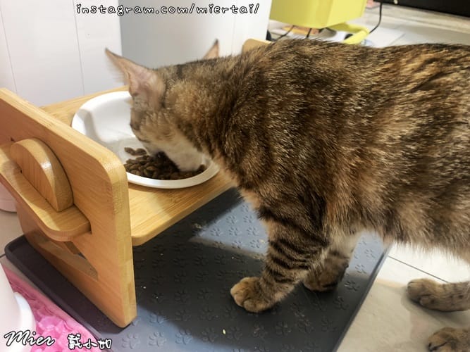 毛小孩 飼料推薦 ROYAL CANIN法國皇家 K36 S__239083531