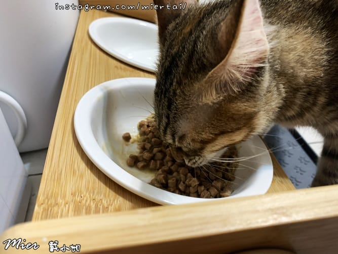 毛小孩 飼料推薦 ROYAL CANIN法國皇家 K36 IMG_9450