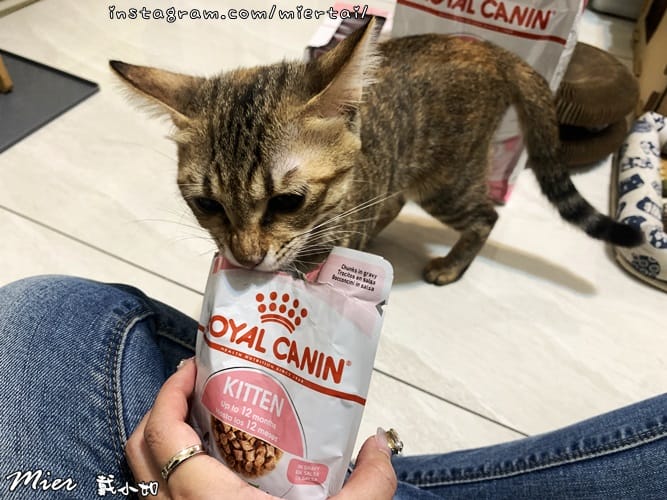 毛小孩 飼料推薦 ROYAL CANIN法國皇家 K36 IMG_9417