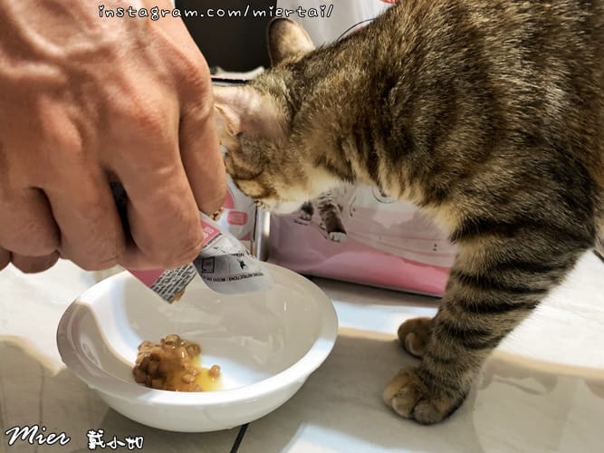 毛小孩 飼料推薦 ROYAL CANIN法國皇家 K36 IMG_9410