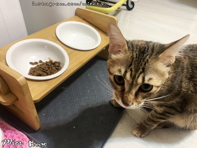 毛小孩 飼料推薦 ROYAL CANIN法國皇家 K36 S__239083529