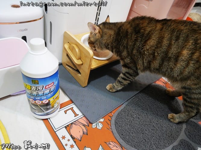 清潔|| 溫和天然配方 添加尤加香茅精油 潔窩 地板清潔劑 