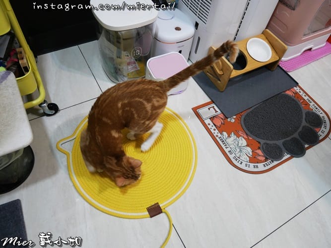 清潔|| 溫和天然配方 添加尤加香茅精油 潔窩 地板清潔劑 