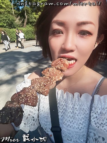 日本 東京Tokyo 鐮倉 東京近郊古色古香小鎮 邊走邊