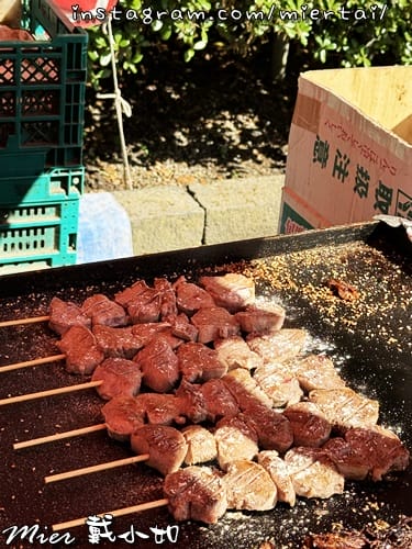 日本 東京Tokyo 鐮倉 東京近郊古色古香小鎮 邊走邊