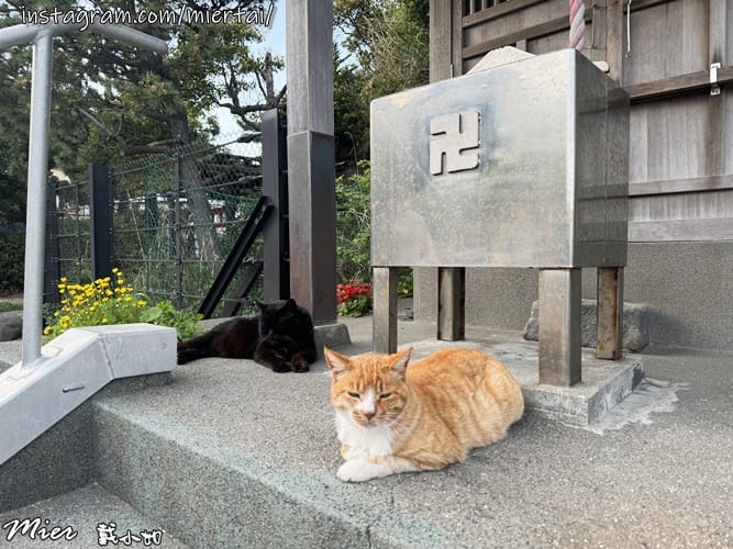 日本 東京Tokyo 人手一片 比臉還大的江之島名產現烤