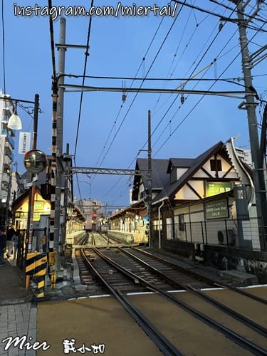 日本 東京Tokyo 人手一片 比臉還大的江之島名產現烤