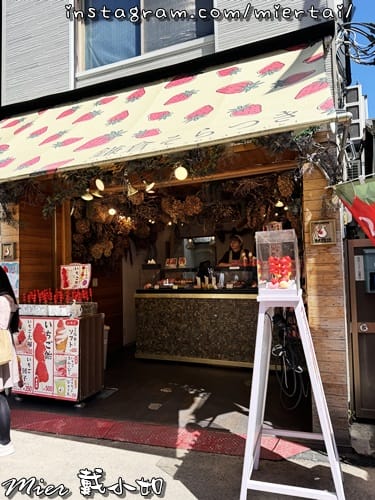 日本 東京Tokyo 鐮倉 小町通商店街 Giraf