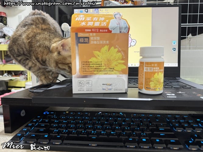 保養 現代人必備保健品 Décent 笛頌 極潤 玻尿酸 保養 現代人必備保健品 Décent 笛頌 極潤 玻尿酸