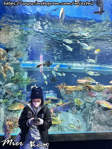 保養 現代人必備保健品 Décent 笛頌 極潤 玻尿酸 保養 現代人必備保健品 Décent 笛頌 極潤 玻尿酸